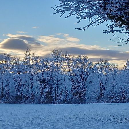Valreley, Chambres Et Table D'Hotes Eco-Friendly Avec Bain Nordique Au Sud Du Massif Du Jura Champagne-en-Valromey Εξωτερικό φωτογραφία