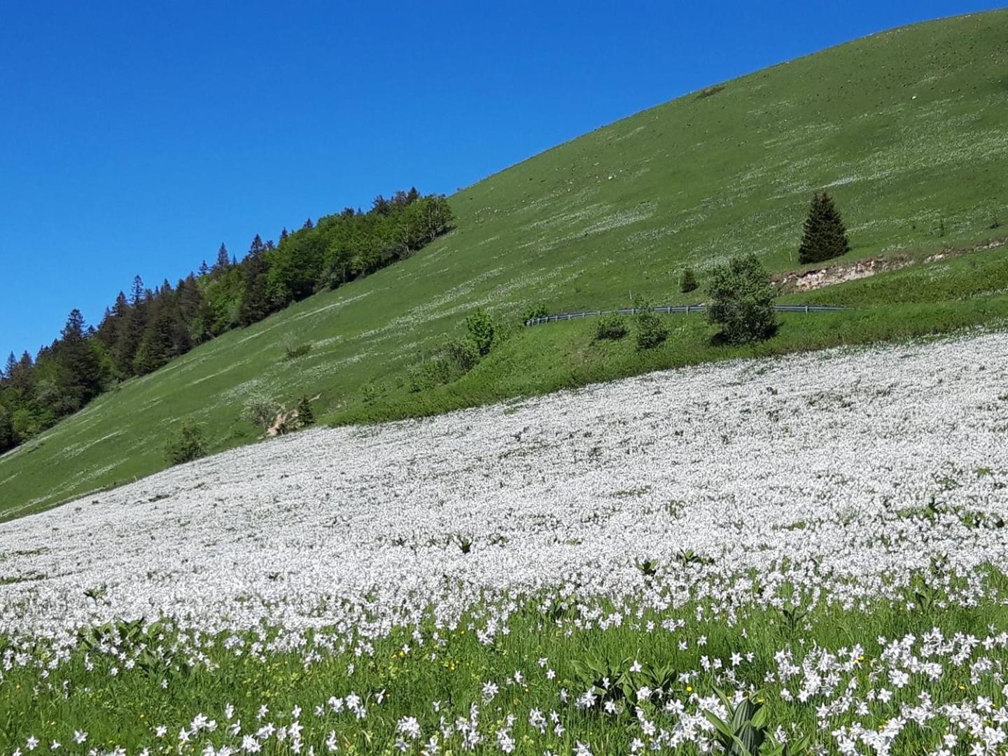 Valreley, Chambres Et Table D'Hotes Eco-Friendly Avec Bain Nordique Au Sud Du Massif Du Jura Champagne-en-Valromey Εξωτερικό φωτογραφία